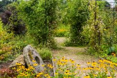 Informal paths wander through the garden