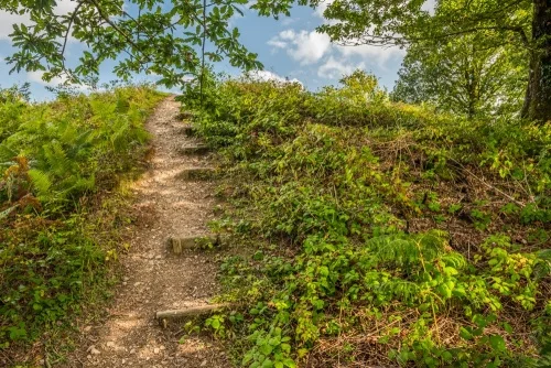 Climbing the Norman motte