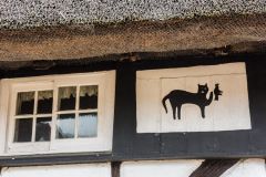 Cat House decoration