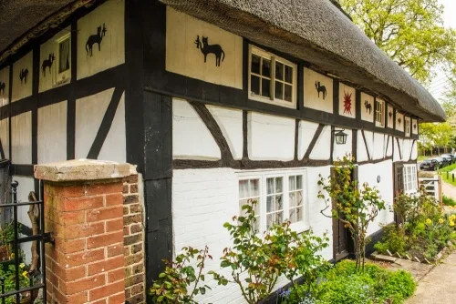 Another view of Cat House