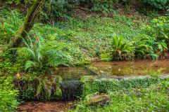 Another look at St Dubricius' holy well
