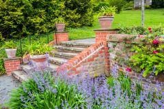 The terrace garden steps
