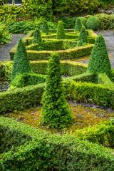 Topiary beds below the house