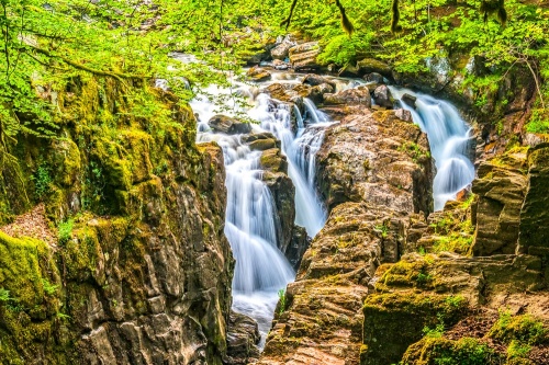 Black Linn Falls in The Hermitage