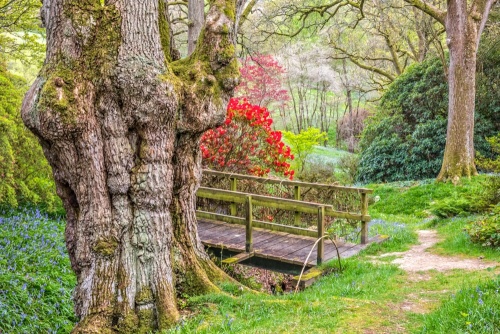 High Beeches Garden