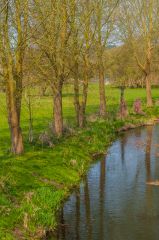 A quiet path beside the river
