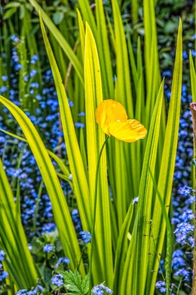 Colour is everywhere at Highdown