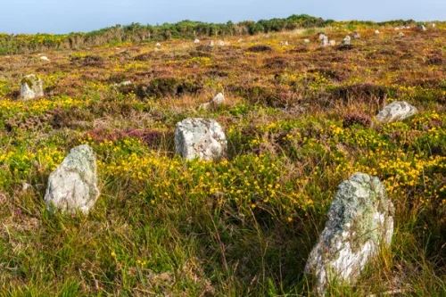 Can you make out the path of the stone rows?