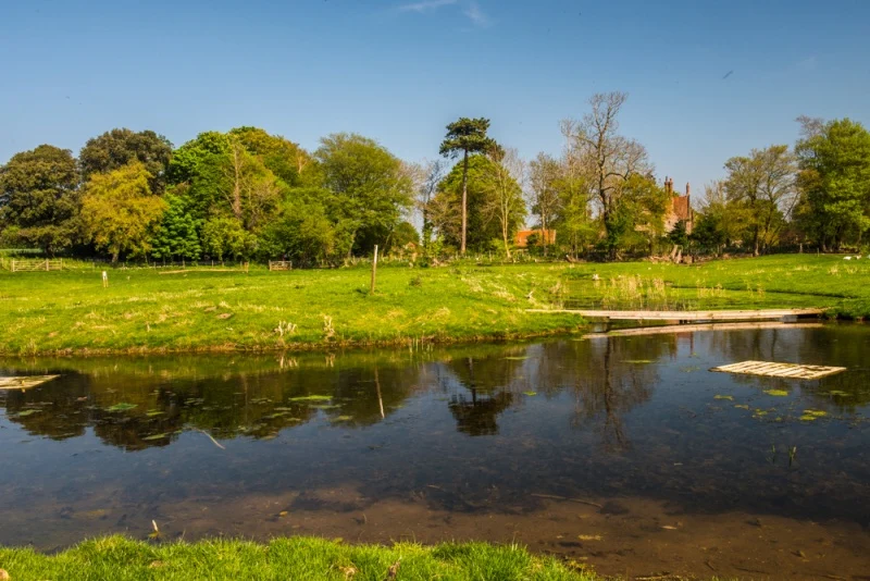 The medieval fish ponds
