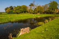 One of the medieval fish ponds