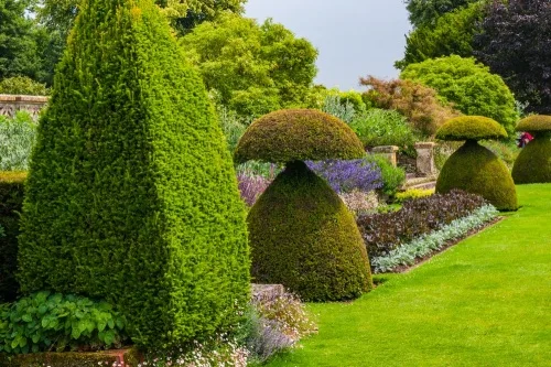 Formal topiary in the garden