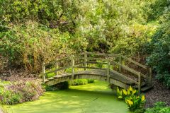 A footbridge in The Dell