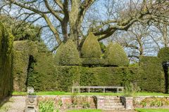 The Sunken Garden terrace