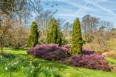 Colour in the 'Policy' garden