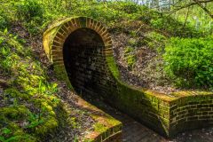 The historic ice house in the Woodland Garden