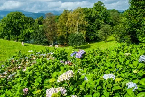 There are sweeping views of the surrounding hills