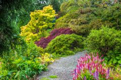 Holehird Gardens, The Fell Borders garden