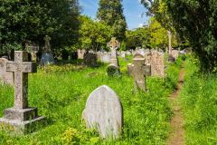 Looking west along the cemetery path