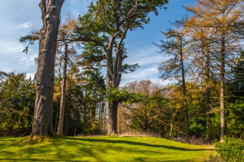 The site of Abercorn Castle