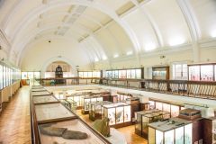 The natural history exhibit hall