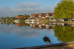 Horning Staithe