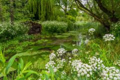 Quiet walks along the River Test
