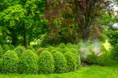 Puff the Magic Dragon topiary feature