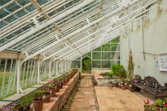 The restored Victorian glasshouse
