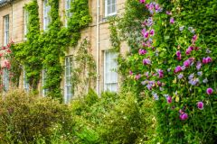 A side garden close to the Hall