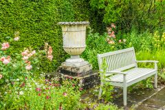 A quiet garden bench