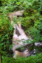 Peering through trees at the falls