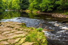 The River Swale runs beside the Woods