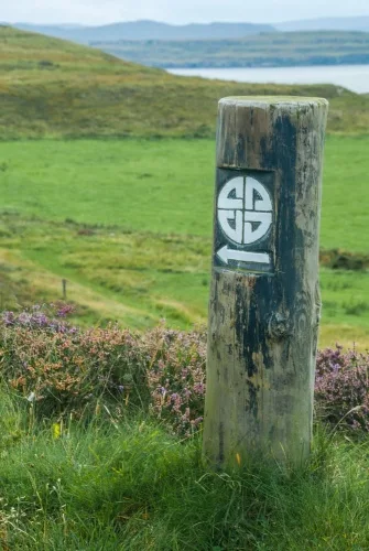 Just follow the Celtic symbol posts