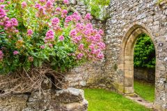 Hulne Priory, Flowers grow amid the priory ruins