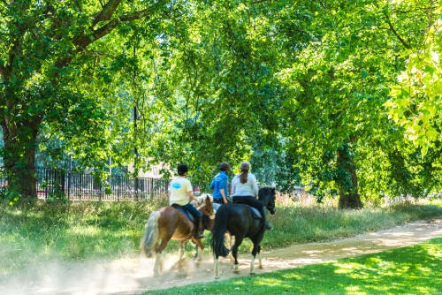 Horse riders in Hyde Park