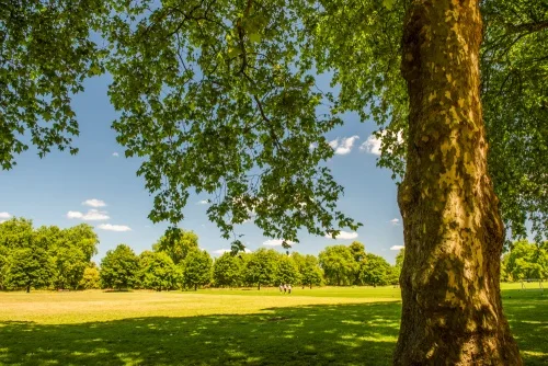 The Great Exhibition site