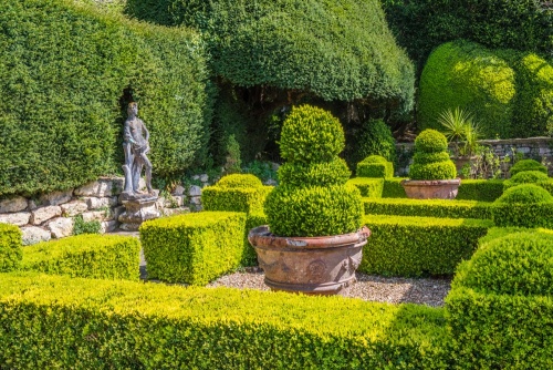 Topiary on the Great Terrace