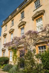 Wisteria on the Iford Manor facade