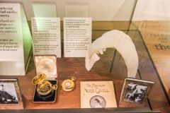 Nurse Edith Cavell display in the WWI exhibit