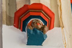 A painted corbel supporting the nave roof