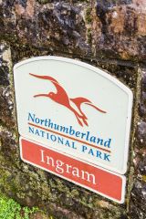 Ingram lies just inside the Northumberland National Park