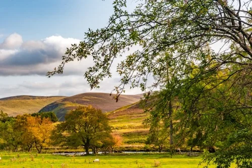 The castle stands in a beautiful countryside setting