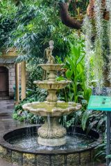 A fountain in the tropical glasshouse