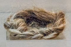 A plait of Bonnie Prince Charlie's hair