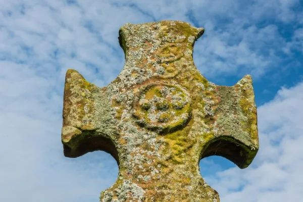 The cross head