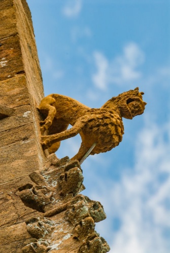 Hunky punk carved lion-like figure