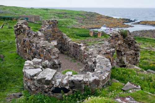 St Adrian's Chapel, Isle of May Priory