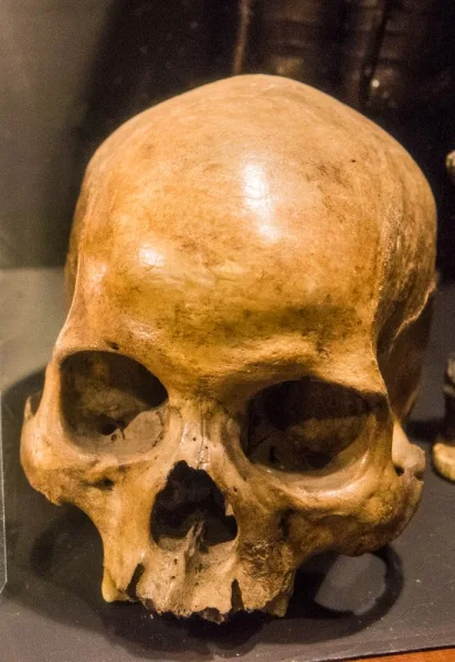 The smuggler's skull from Abbey Burnfoot