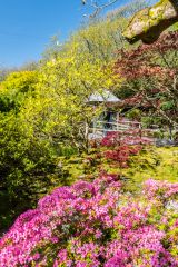 Entering the gardens
