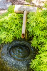 A bamboo water feature